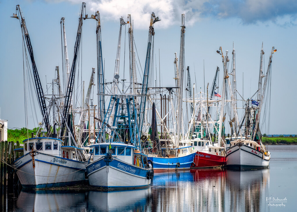 Shrimp boats of Darien Georgia by photographycrazy