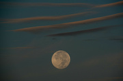 21st Oct 2021 - Hunter's Moon