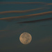 Hunter's Moon by dkellogg