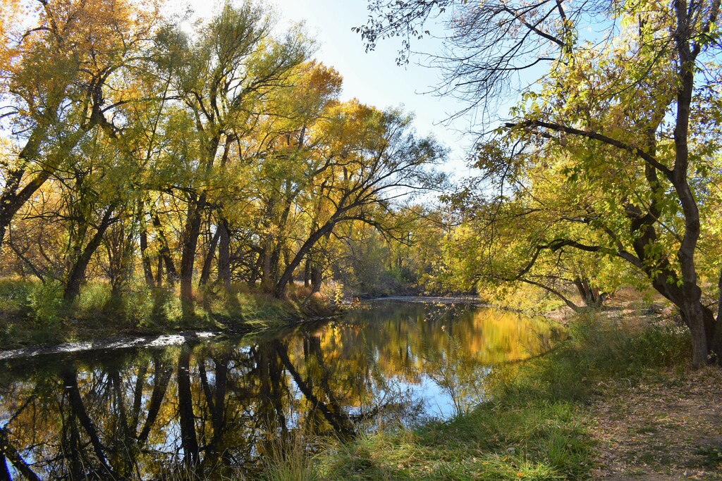 Fall on the Cache La Poudre River by sandlily