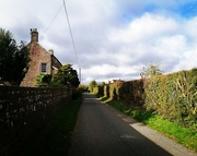 22nd Oct 2021 - Back up the lane to home