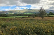 22nd Oct 2021 -  In The Brecon Beacons 2 