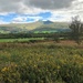  In The Brecon Beacons 2  by susiemc