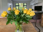 22nd Oct 2021 - Yellow roses