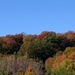 Autumn colours by bruni