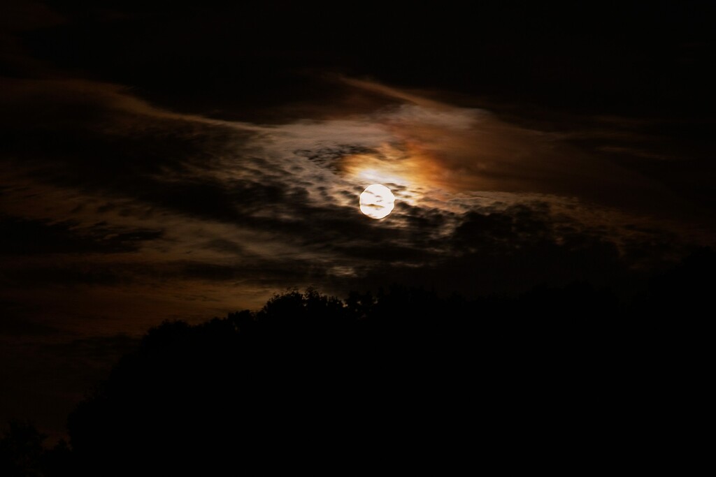 LHG_0560_Hunters Moon in the clouds by rontu