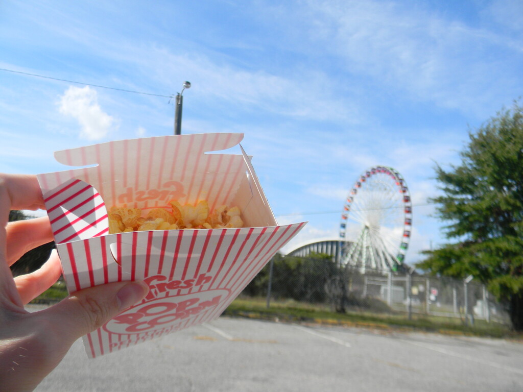 Popcorn and Ferris Wheel  by sfeldphotos