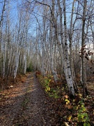 22nd Oct 2021 - Our Hiking Trail
