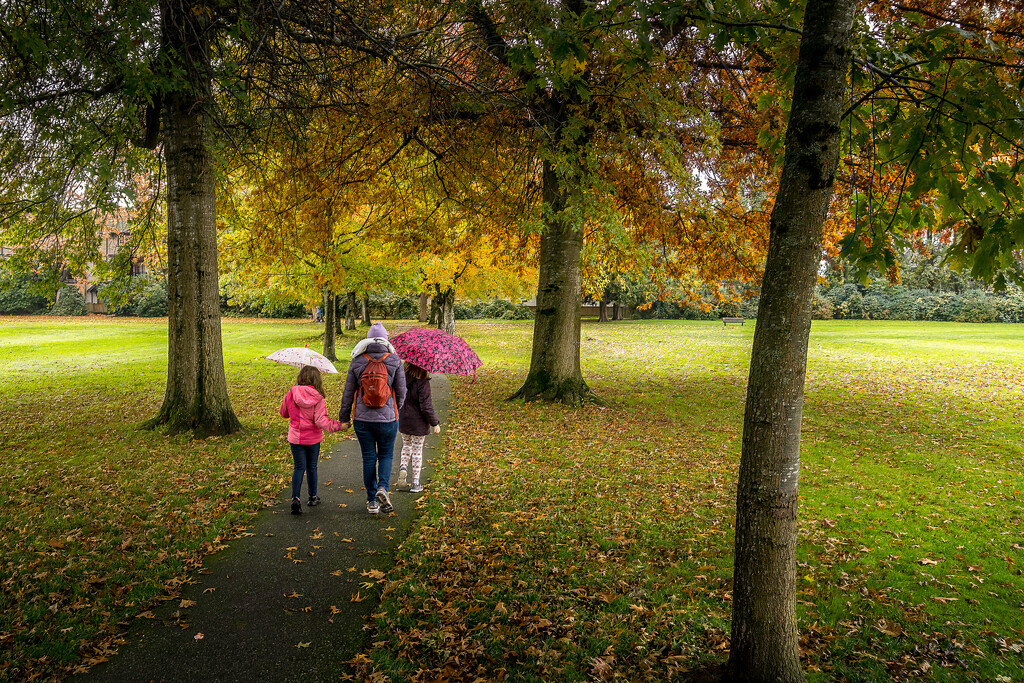 A Walk in the Rain by cdcook48