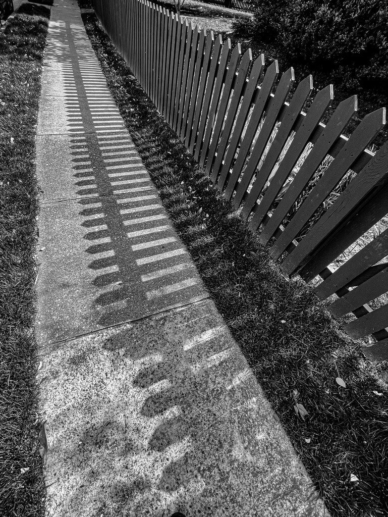 Fence Shadows by jbritt