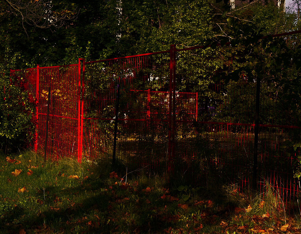 The Red Fence by gardencat