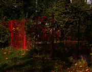 23rd Oct 2021 - The Red Fence
