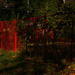 The Red Fence by gardencat