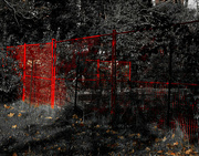 23rd Oct 2021 - The Red Fence 2