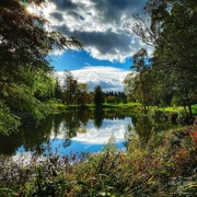 23rd Oct 2021 - Yorkshire arboretum 