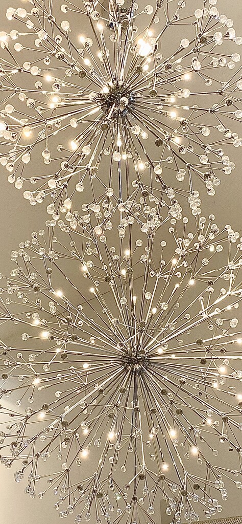 Dandelion Sparkles by carole_sandford