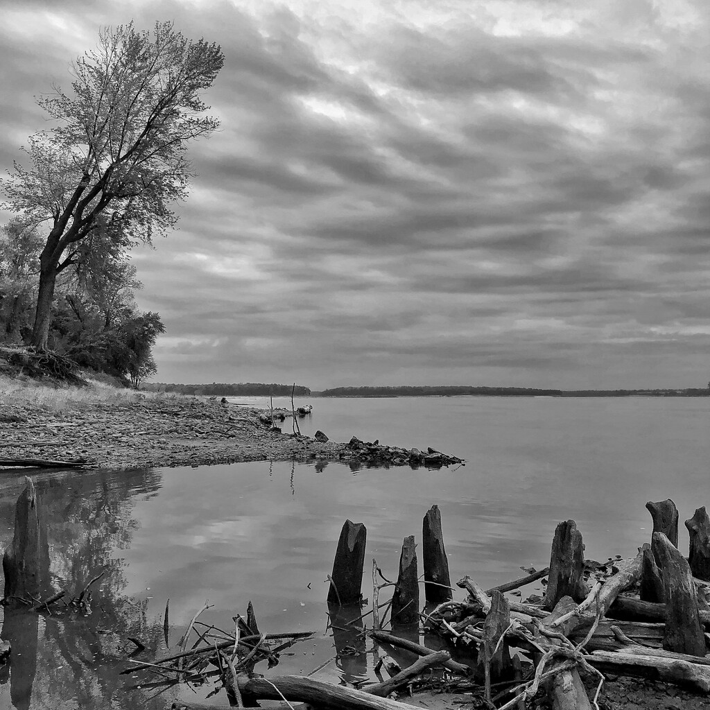 Mississippi River Shoreline by lsquared