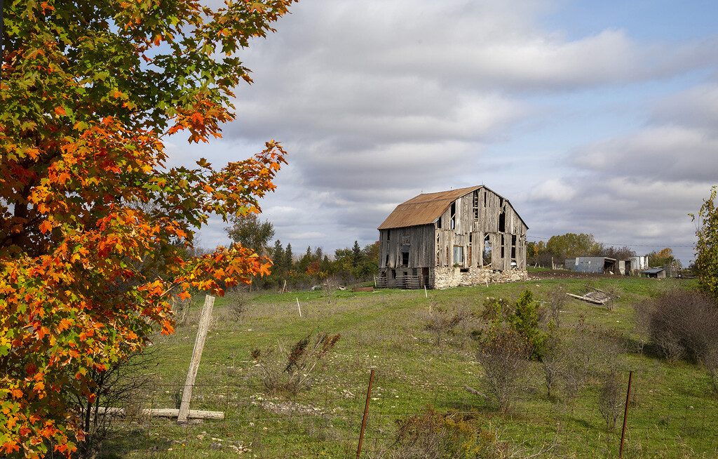 Fall at the Farm by pdulis