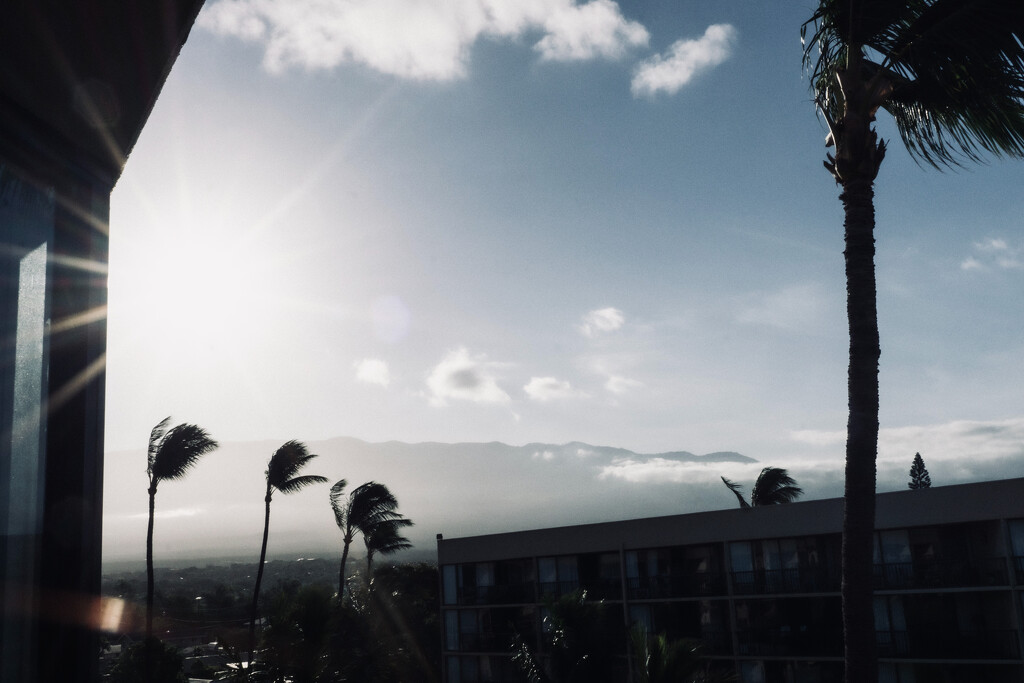 Good morning, Haleakala by cristinaledesma33