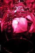 19th Jan 2011 - "Looking Through an Empty Glass"