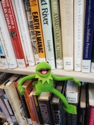 22nd Oct 2021 - Library Kermie