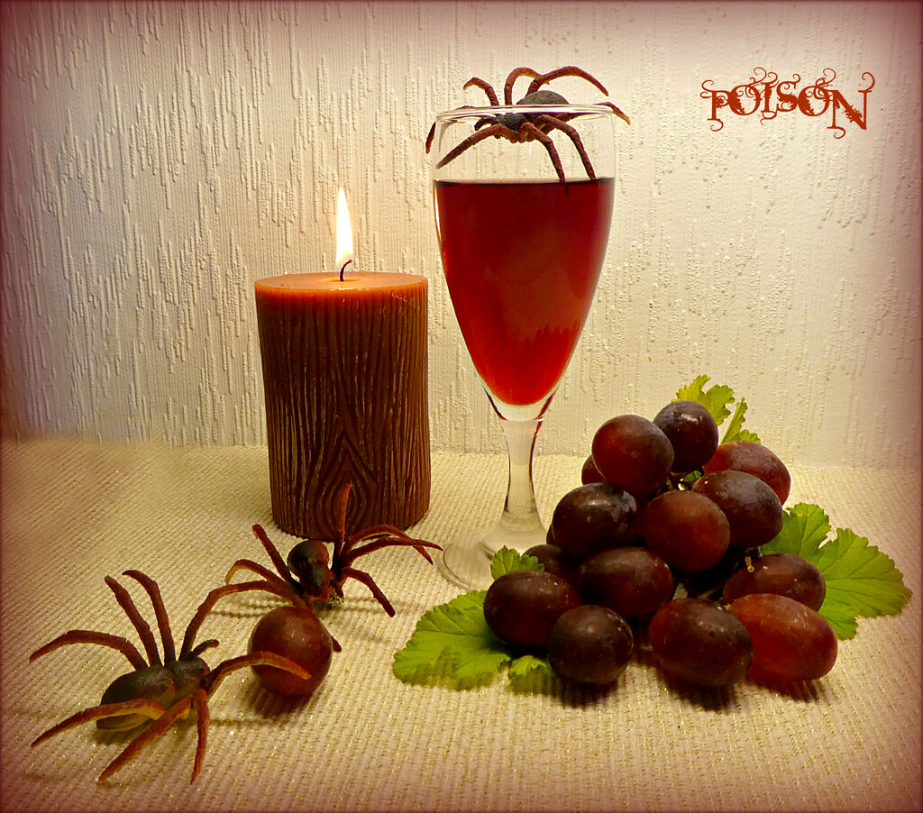 Red Wine Spiders . by wendyfrost