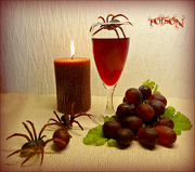 20th Oct 2021 - Red Wine Spiders .