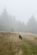 25th Oct 2021 - Hiking in the Fog
