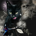 Black Cat by joansmor
