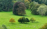 24th Oct 2021 - England's Green and Pleasant Land