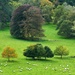 England's Green and Pleasant Land by gaf005