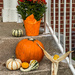 Halloween Decorations from the farm by jbritt