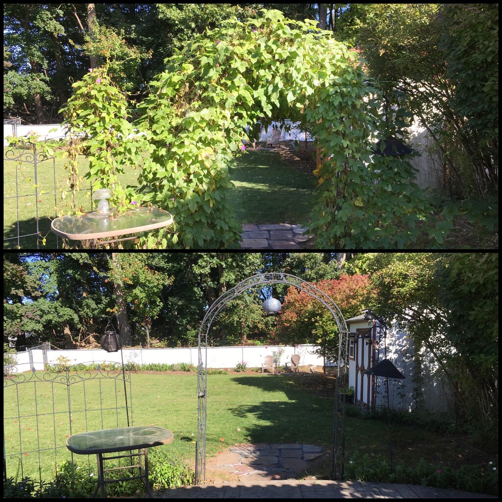 10-24-21 before and after by bkp