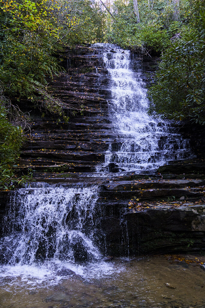 Panther Falls by k9photo