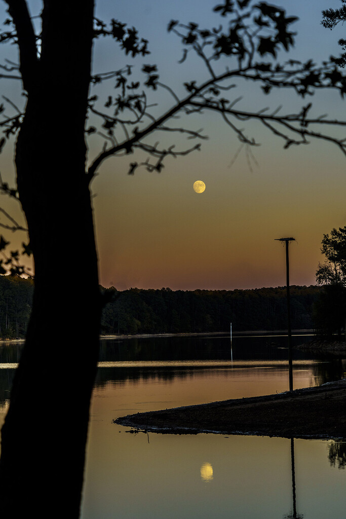 Golden Moonrise by k9photo