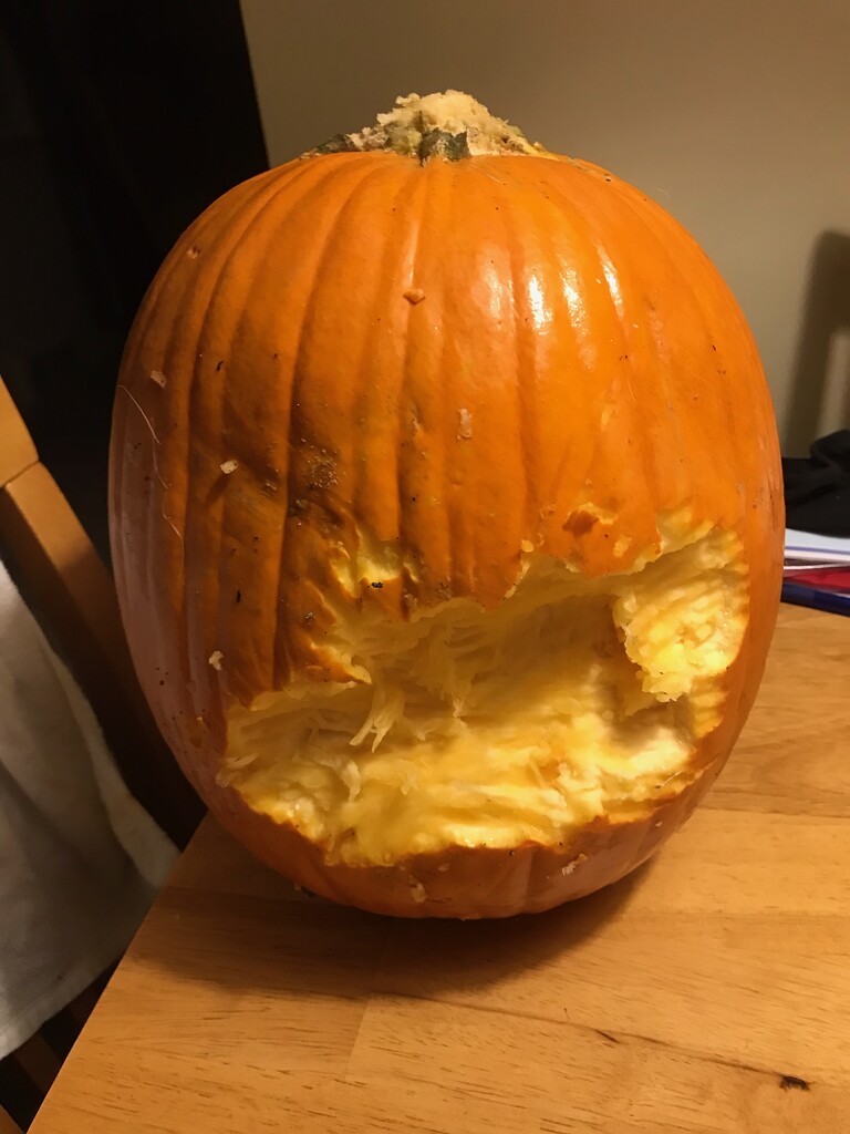 The dog ate my pumpkin by mittens