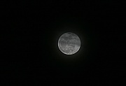 19th Jan 2011 - The Moon :)
