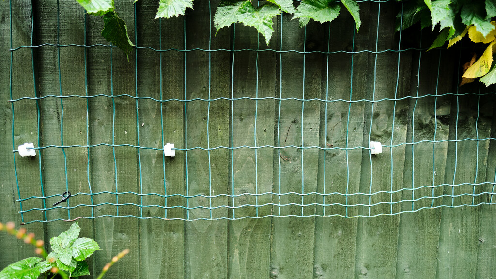 Fence by kametty