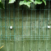 Fence by kametty
