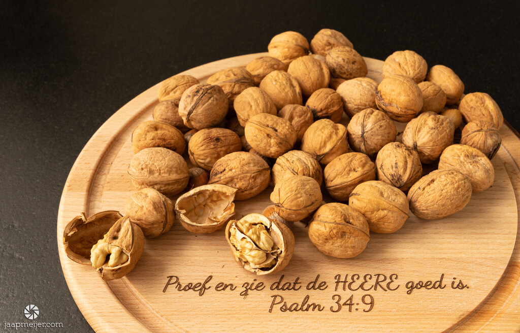 Moselle walnuts by djepie