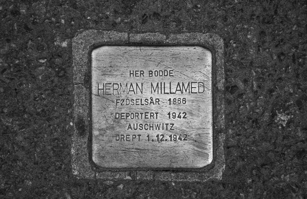 Here Lived Herman Millamed by jamibann