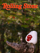 26th Oct 2021 - Cover of the Rolling Stone...