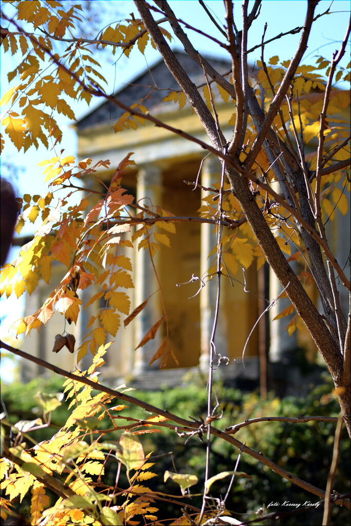 Autumn leaves evoking memories ... by kork