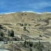 Loveland Pass before snow