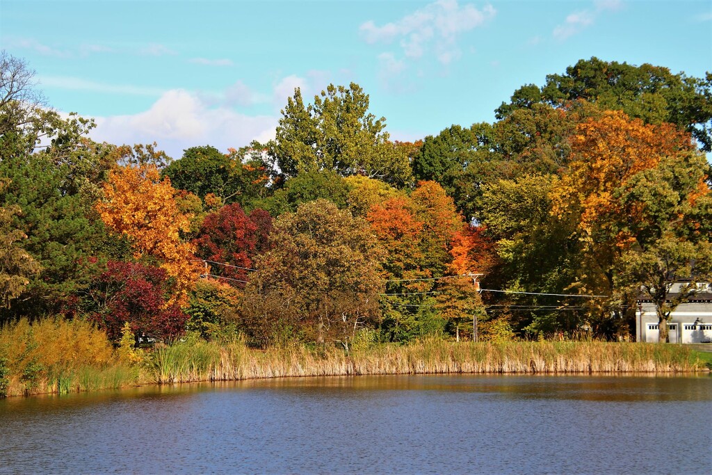 Fall Colors Along The Lake by randy23