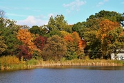 17th Oct 2021 - Fall Colors Along The Lake