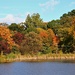 Fall Colors Along The Lake by randy23