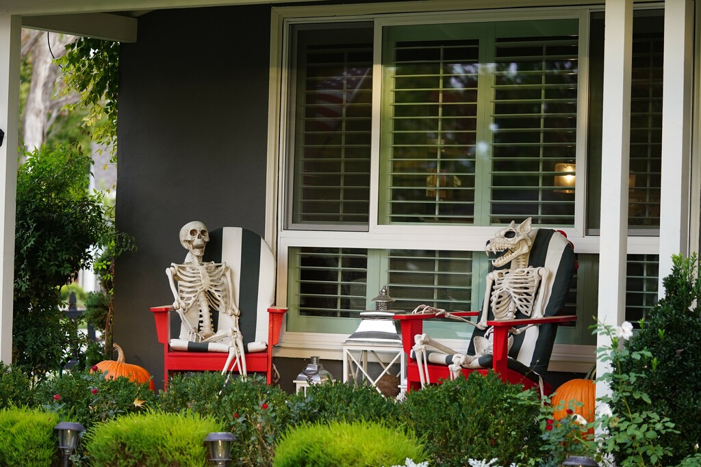 Skeletons (Halloween decoration) by acolyte