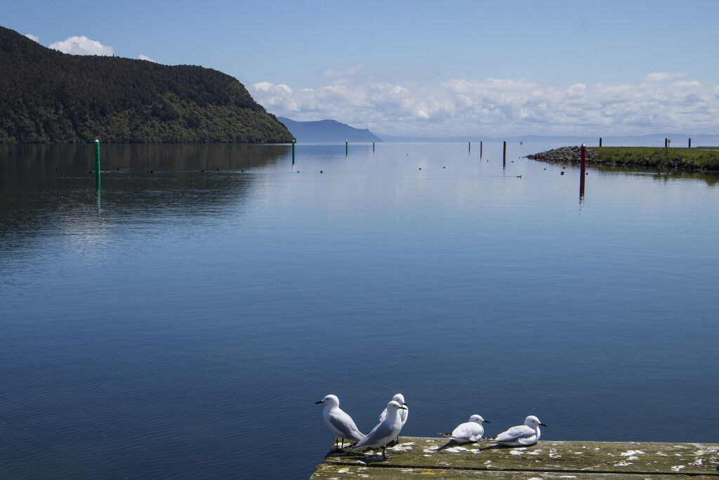 Lake Taupo at it's best by suez1e