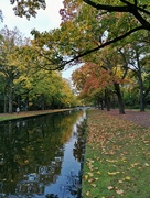 19th Oct 2021 - Beautiful autumn @ canale